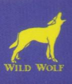 wild wolf